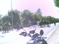 20070209_00986.jpg