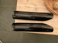 IMG_2929.jpeg