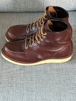 IMG_5183.jpeg