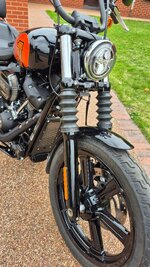 IMG_8175.jpeg