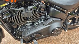 IMG_8176.jpeg