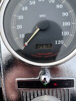 IMG_6397.jpeg