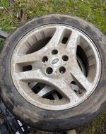 IMG_5151.jpeg