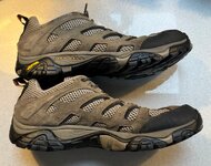 IMG_7181.jpeg