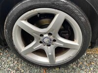 IMG_9363.jpeg