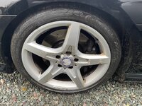 IMG_9364.jpeg