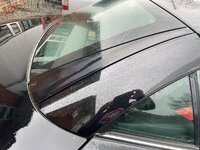 IMG_9367.jpeg