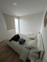 IMG_2025.jpeg