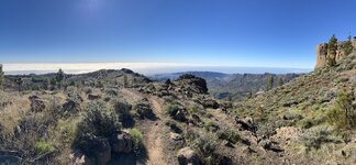 IMG_2086.jpeg