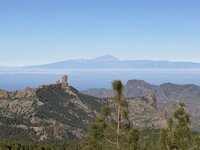 IMG_2081.jpeg