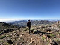 IMG_2095.jpeg