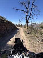 IMG_2102.jpeg
