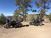 IMG_2111.jpeg