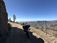 IMG_2113.jpeg