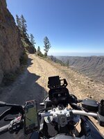IMG_2116.jpeg