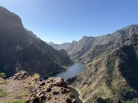 IMG_2150.jpeg
