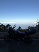 IMG_2165.jpeg