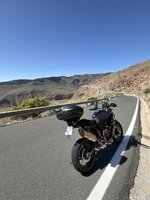IMG_2201.jpeg