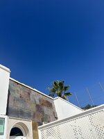 IMG_2998.jpeg