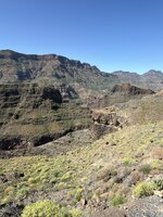 IMG_2208.jpeg