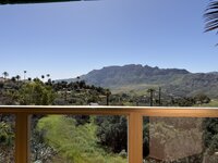 IMG_2212.jpeg