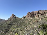 IMG_2225.jpeg