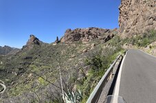 IMG_2226.jpeg