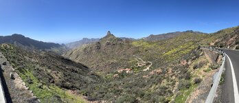 IMG_2233.jpeg
