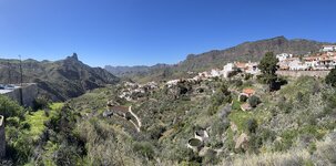 IMG_2235.jpeg