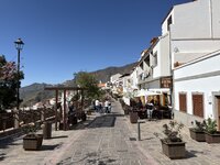 IMG_2238.jpeg