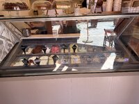 IMG_2239.jpeg