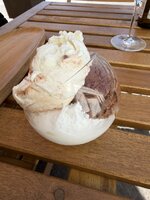 IMG_2240.jpeg
