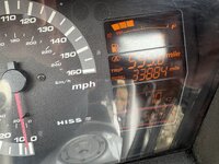 IMG_3135.jpeg