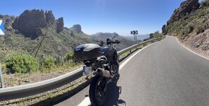 IMG_2224.jpeg
