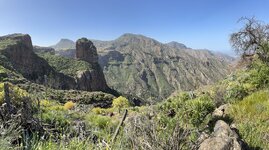 IMG_2283.jpeg