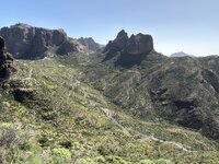 IMG_2287.jpeg