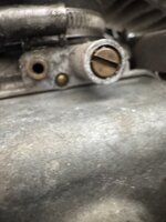 IMG_5329.jpeg