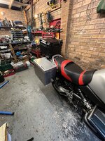 IMG_7388.jpeg