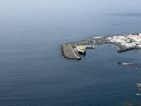 IMG_2369.jpeg