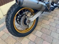 IMG_6197.jpeg IMG_6197.jpeg