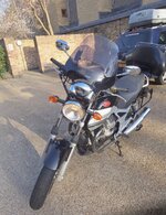 IMG_4358.jpeg IMG_4358.jpeg
