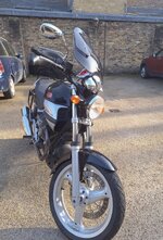 IMG_4359.jpeg IMG_4359.jpeg