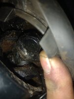 17720414150282729815547371190989.jpg