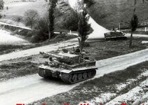 tiger march 2.jpg