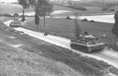 IMG_1919.jpeg