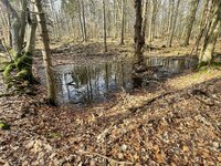 IMG_7664.jpg