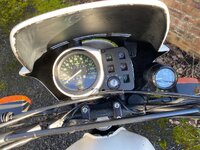IMG_0155.jpeg