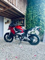 IMG_1150.jpeg