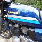 IMG_8254.jpeg