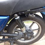 IMG_8251.jpeg